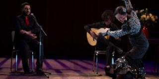 Tardes de baile flamenco