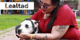 ¿Cuándo es la caminata por los 'potencialmente amorosos' en Bogotá?