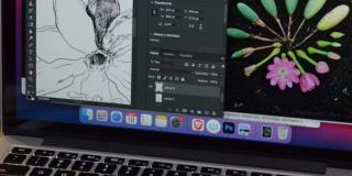 Concierto Ecos palpitantes en senderos anudados