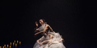 Jam de danza contacto