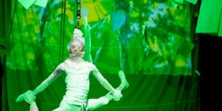 Circo Debut Estaciones y cadáveres