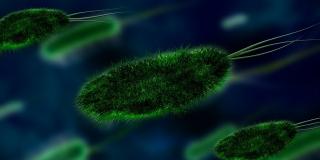 Astrobiología, la ciencia a la búsqueda de la vida extraterrestre