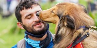 Festival de Verano: Huellas 5K