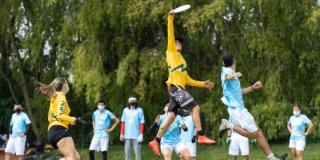 Torneo Ultimate