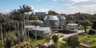 ¿Qué actividades habrá en el Tropicario esta semana de julio?