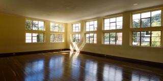 Franja de videodanza