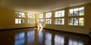 Franja de videodanza