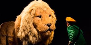 Artistas en Red: Camino a Casa