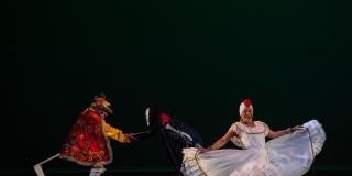 Bases y beneficios del ballet para la danza mayor