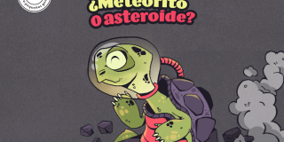 Ilustración de una tortuga