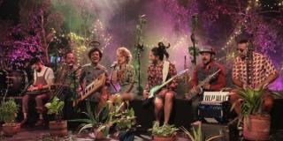 La sinfonía de los bichos raros