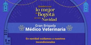 Brigada médico veterinaria en Bosa este 9 de diciembre 