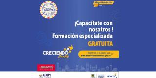 Cursos gratuitos de capacitación para Mipymes en Bogotá. Desarrollo 