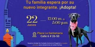 Jornada de adopción de animales de compañía en La Santamaría 