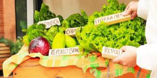 Puntos de Mercados Campesinos el 11 de diciembre del 2022