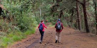 Caminatas