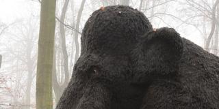 Hablemos sobre la Tierra después de la era de los dinosaurios