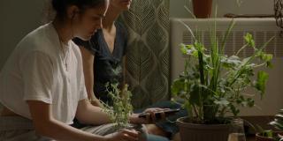 Programación Cinemateca