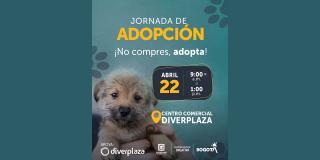 Conoce un nuevo amigo en la jornada de adopción el sábado 22 de abril