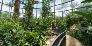 Jardín Botánico de Bogotá