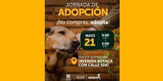 Jornada de adopción animal este domingo 21 de mayo en Engativá
