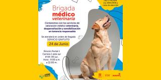 Lleva a tu mascota a la jornada médico veterinaria gratis en Usme ¡24 de junio!