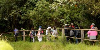 Carrera atlética de ascenso Bogotá Trail en el Festival de Verano
