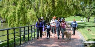 Caminando Ando – Bogotá reverdece 