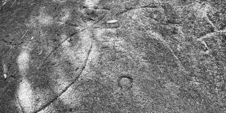 Datos y relatos: Bárbara Santos y el documental Cinemateca de Bogotá