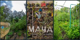 La quinta Ruta Agroecológica ha sido enmarcada bajo el lema “Vidas diversas”.