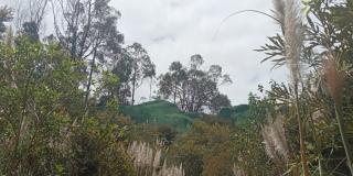 Caminatas Localidad Usaquén domingo 19 de noviembre con el IDRD Bogotá