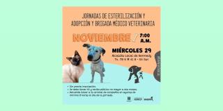 Jornada de adopción de animales sábado 11 de marzo de 2023, Bogotá