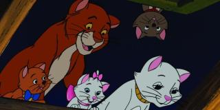 Programación en la Cinemateca de Bogotá para domingo 17 de diciembre 