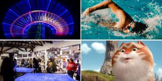 Actividades culturales para hacer del 5 al 11 de enero en Bogotá