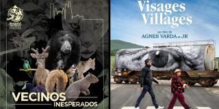 Enero 20: Programación cinemateca El Tunal 