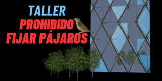 Taller Prohibido fijar pájaros en la Cinemateca de Bogotá 