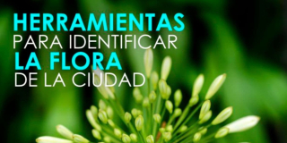 Febrero 28: herramientas digitales para identificar la flora de Bogotá
