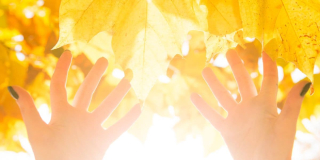 Marzo 9: laboratorio artístico para niños y niñas ¡Entrada libre!