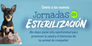 Participa de jornada de esterilización en la localidad de Fontibón 