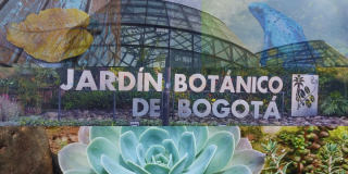 Actividades del Jardín Bogotá 