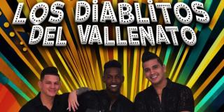 Concierto Navidad con Los Diablitos del Vallenato 14 de diciembre 2024
