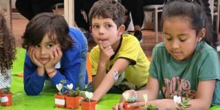 Planes en Bogotá: Actividades BibloRed del 28 enero al 2 de febrero 2025