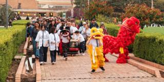 Planes en Bogotá Celebra el Año Nuevo Chino 2025 con BibloRed