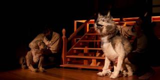 Planes en Bogotá: obra 'Lobo' llega a BibloRed 24, 25 y 28 de enero 