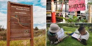 Planes en Bogotá vacaciones con Biblored del 21 al 26 de enero 2025