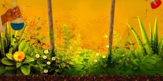 Planes en Bogotá taller para infancia Boticario de Sabores San Juan