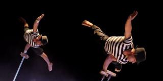 Circo y música gitana Bogotá sur Teatro El Ensueño domingo 24 agosto