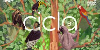 Planes en Cinemateca Bogotá Cine Latinoamericano 14 al 24 de agosto