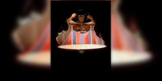 Fotografía de pulgas entrenadas en escena con equipos de video y lentes de alta precisión