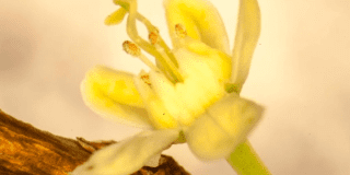 planes-en-bogota-exposiciones-de-la-bienal-bog25-en-la-cinemateca